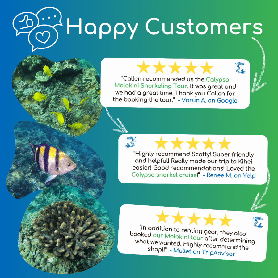 Happy Customers - Calypso Molokini and Turtle Town Snorkel Tour - Book Maui Activities at Auntie Snorkel