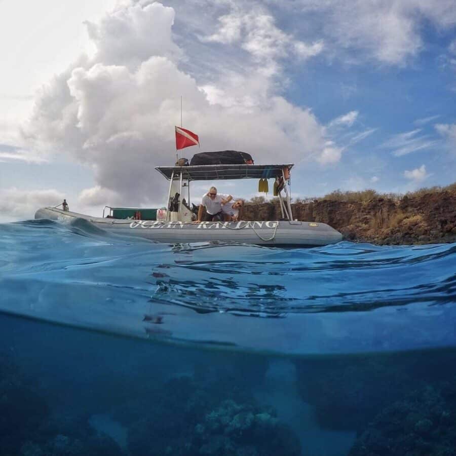 Hawaii Ocean Rafting Lanai Snorkel and Dolphin Watch - Over Under