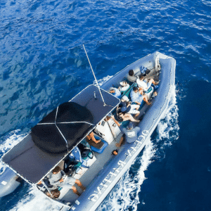 Hawaii Ocean Rafting Lanai Snorkel and Dolphin Watch - Raft View from Above