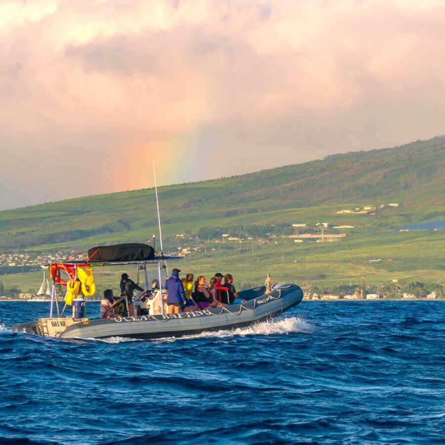 Hawaii Ocean Rafting Lanai Snorkel and Dolphin Watch - Rainbow View