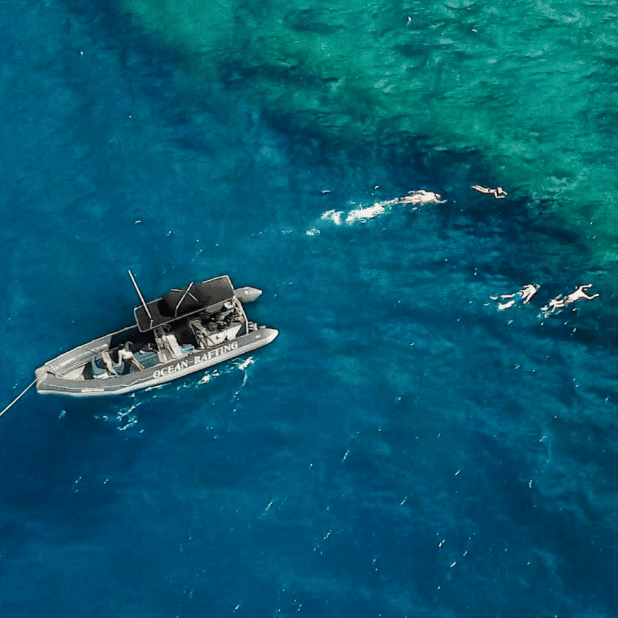 Hawaii Ocean Rafting Lanai Snorkel and Dolphin Watch - Semi-Private Snorkel Tour