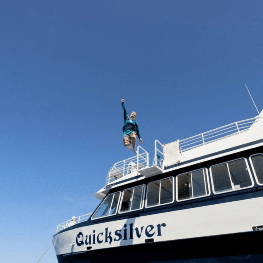 High Jump Platform - Quicksilver Turtle Town Snorkel Tour - Book Maui Activities at Auntie Snorkel