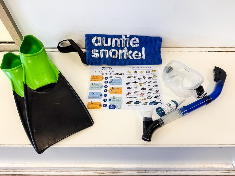 Your Premium Snorkel Set at Auntie Snorkel