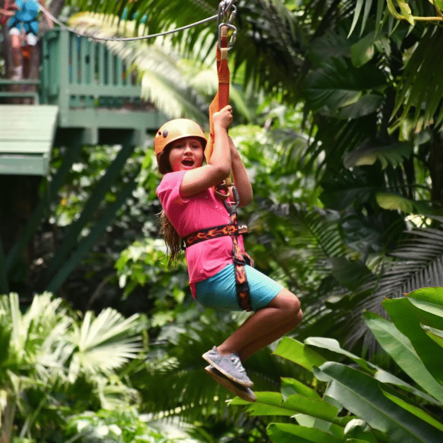 Kids Love It - Maui Jungle Zipline 8 Line Tour - Book Maui Activities at Auntie Snorkel