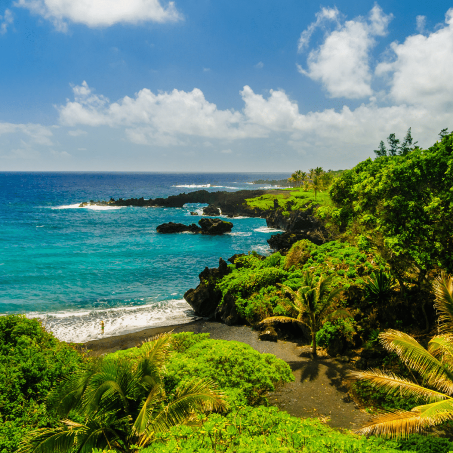 Looking-Out-Over-Black-Sand-Beach-Polynesian-Adventure-Tours-Road-to-Hana-Adventure-Tour-Book-Maui-Activities-at-Auntie-Snorkel