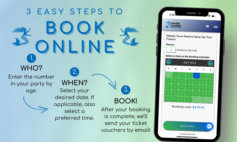 3 Steps to Book Online