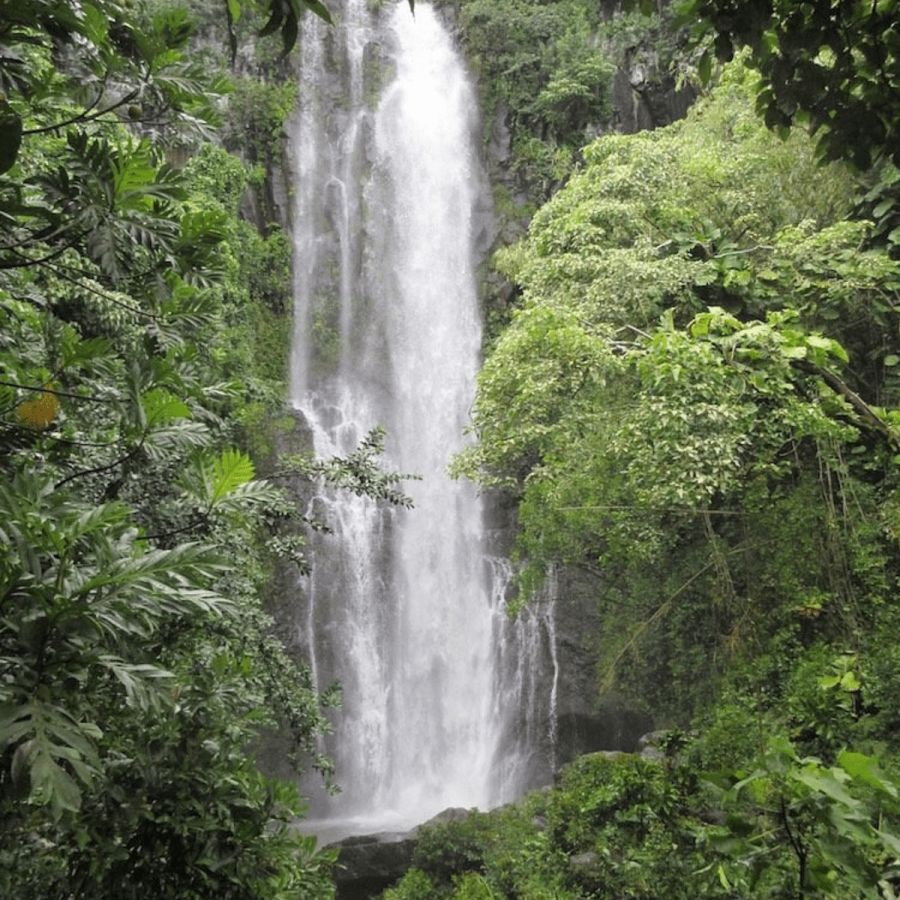 Many-Waterfalls-Hana-Tours-of-Maui-Road-to-Hana-Tour-Book-Maui-Activities-at-Auntie-Snorkel
