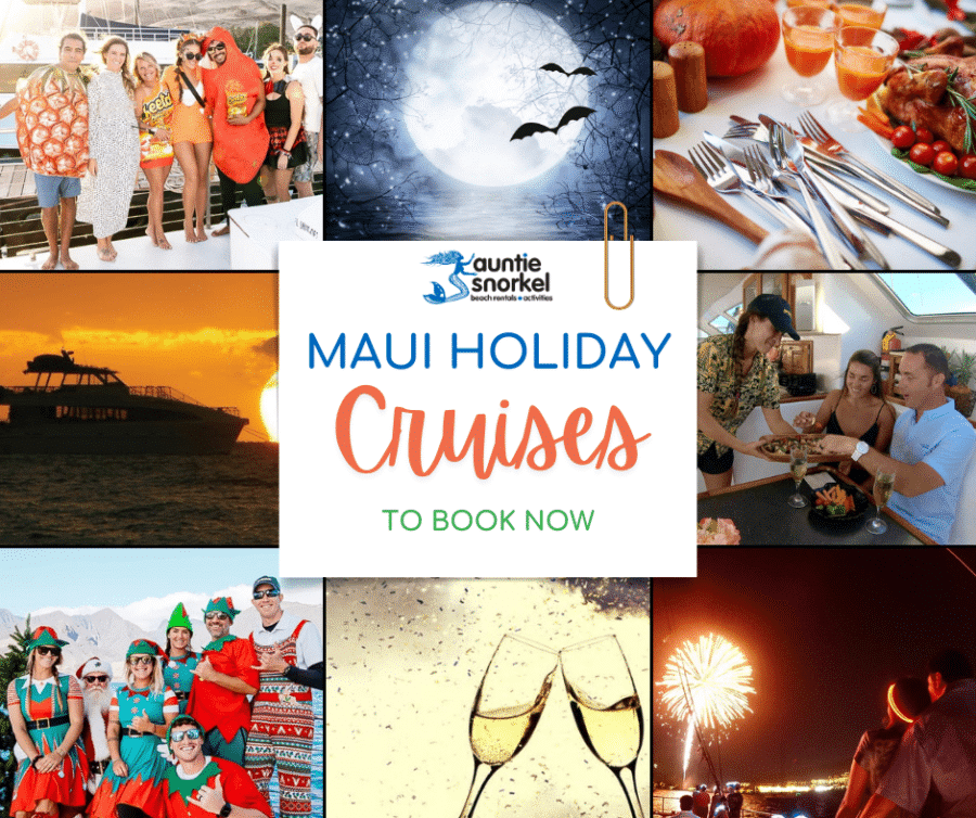 Maui Holiday Cruises To Book Now