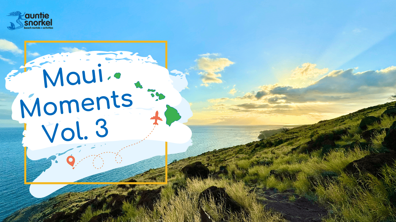 Maui Moments Vol 3 Thumbnail