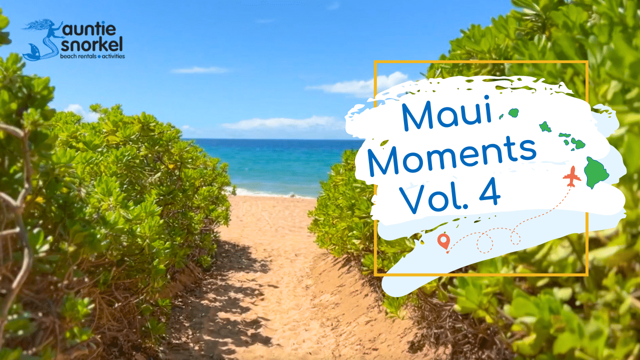 Maui Moments Vol 4 Thumbnail