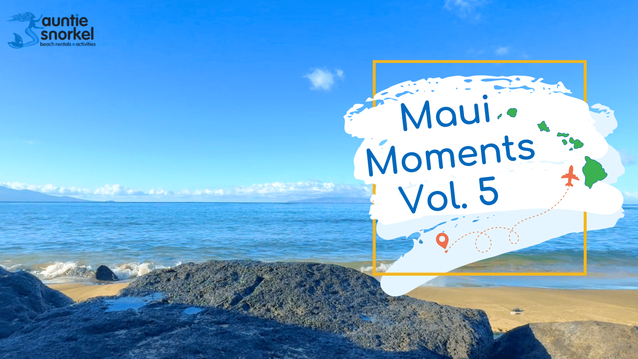 Maui Moments Vol 5 Thumbnail
