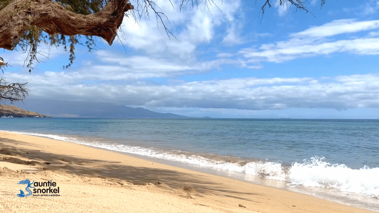 Maui Moments Volume 1 View