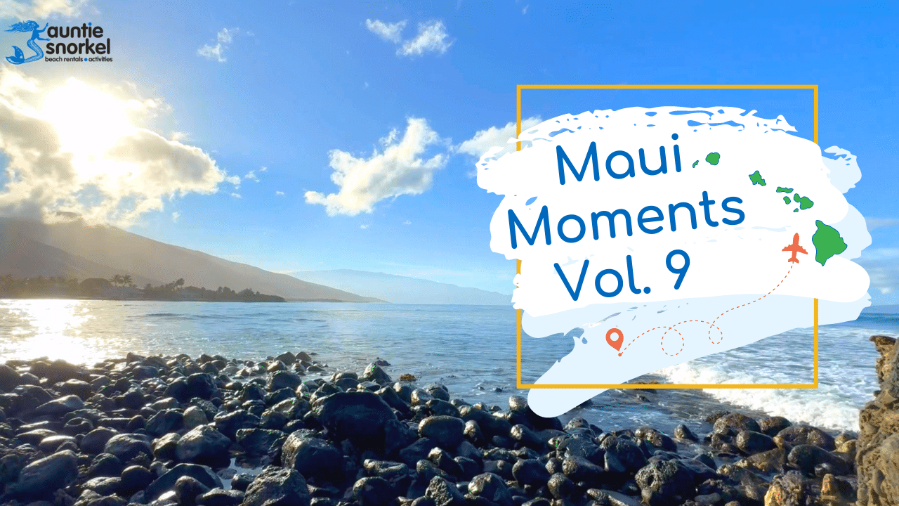 Maui Moments Volume 9 Thumbnail