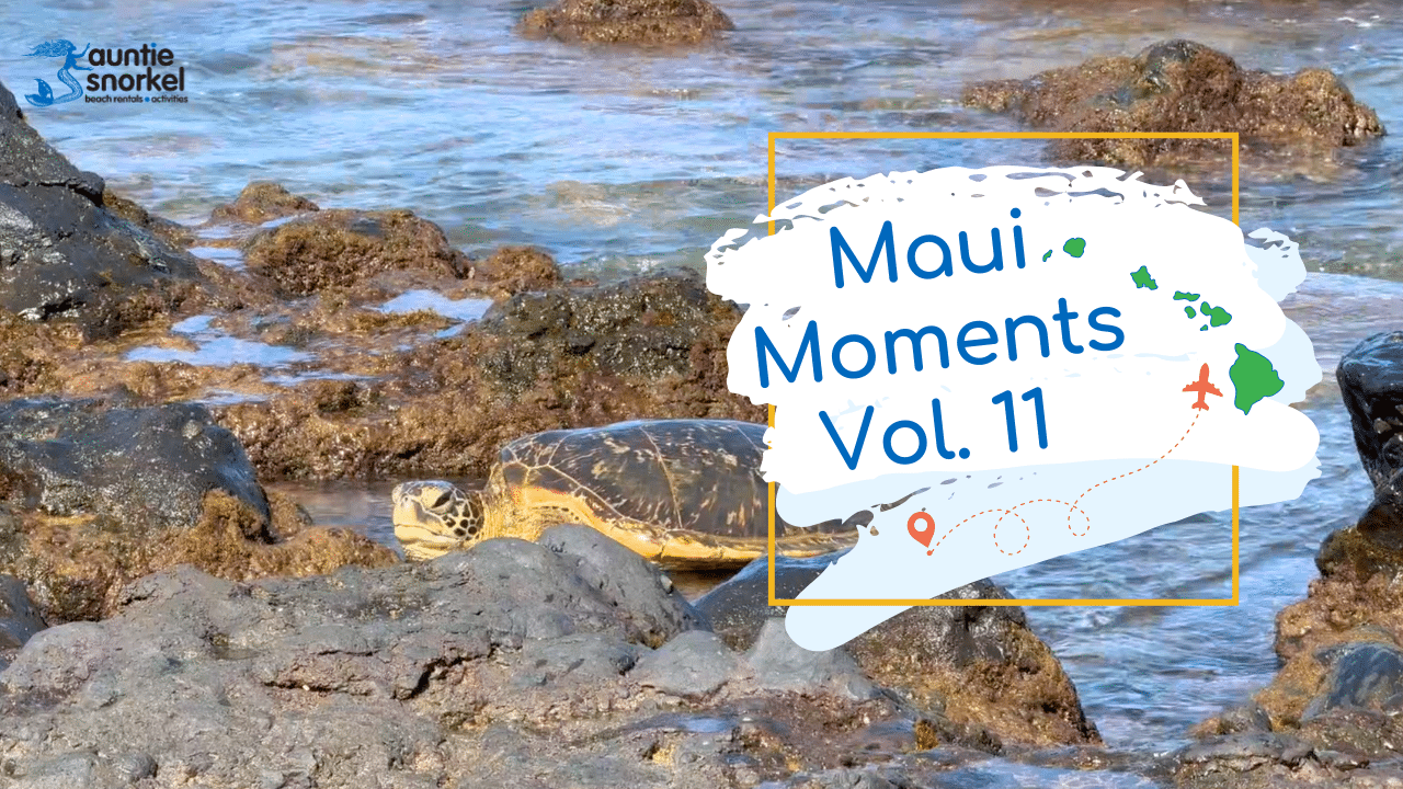 Maui Moments YouTube Thumbnails Vol 11