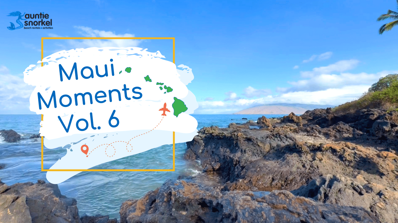 Maui Moments YouTube Thumbnail vol 6
