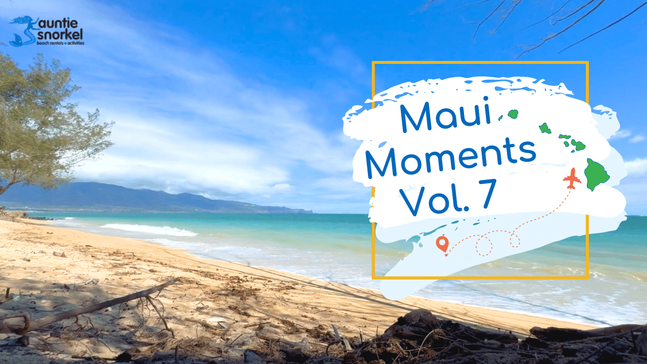 Maui Moments YouTube Thumbnails vol 7