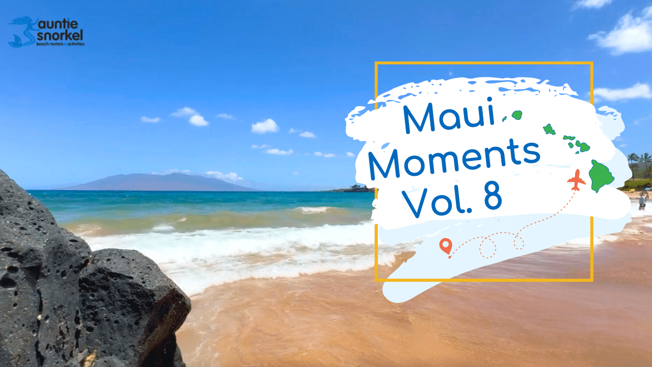 Maui Moments Thumbnail Vol 8