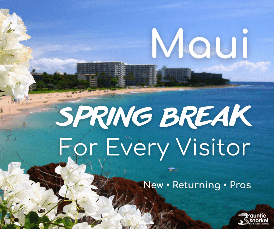 Maui Spring Break for Every Visitor - New - Returning - Pros - Auntie Snorkel