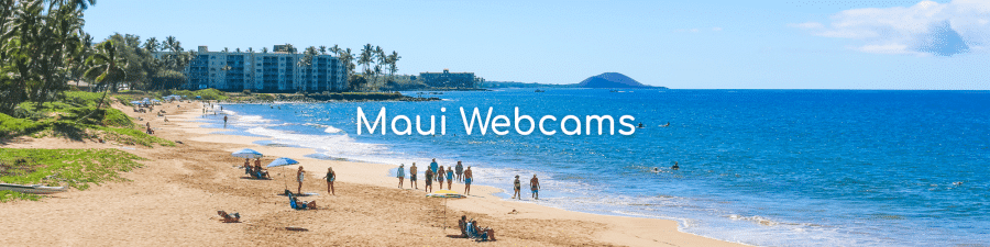 Maui Webcams - See Beaches-Surf-Snorkeling-Conditions - Auntie Snorkel