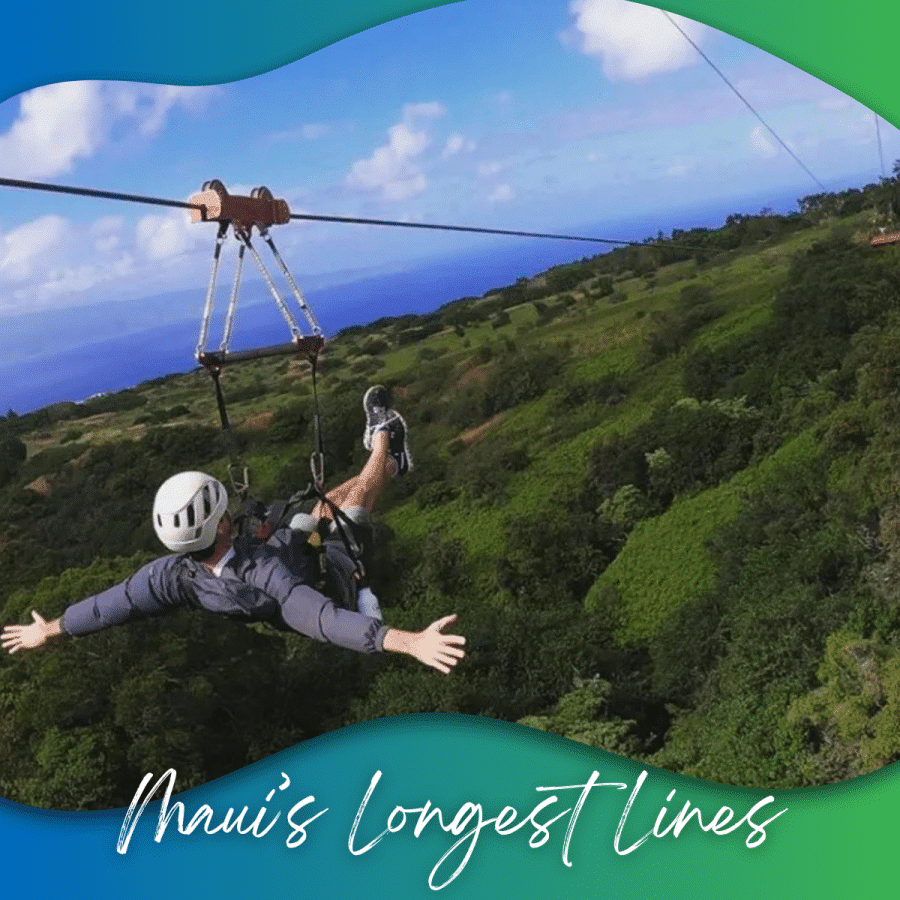 Kapalua Ziplines Tickets - 6 Line Course! | Special $235.95! | Reg