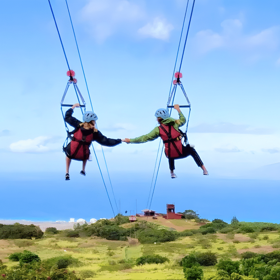 Mauis Longest and Only All-Dual Zipline Adventure - Kapalua Zipline - 6 Line Course - Book Maui Activities at Auntie Snorkel