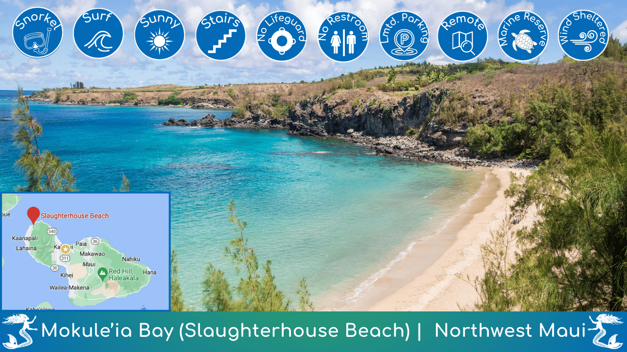 Mokule'ia Bay Beach Guide