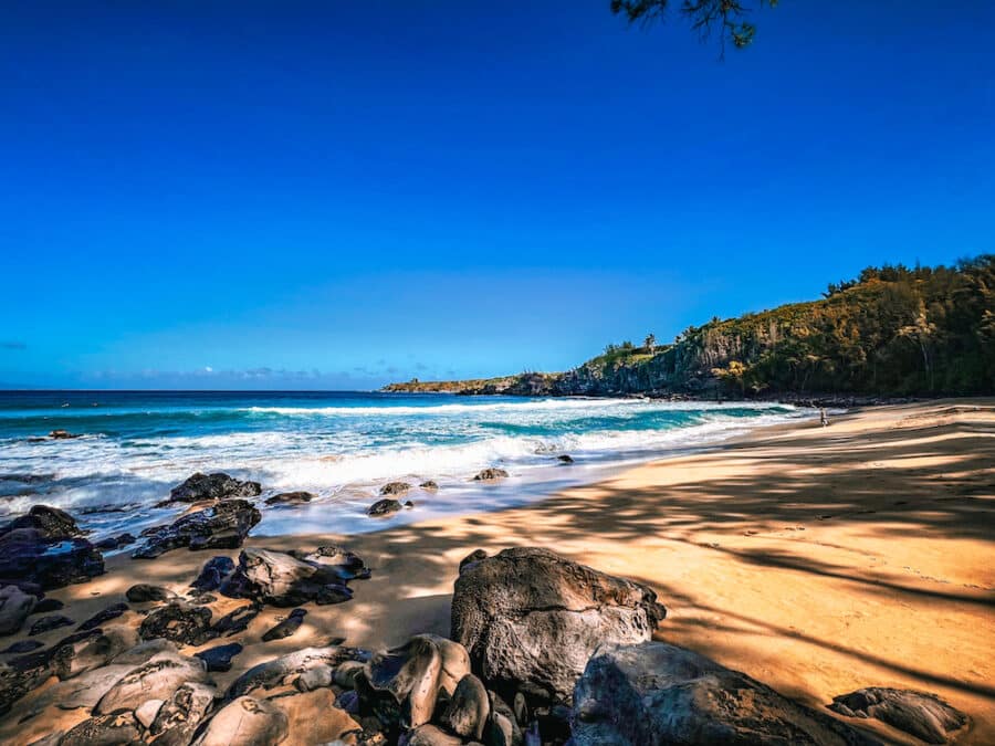 A wide view of Mokule'ia Bay