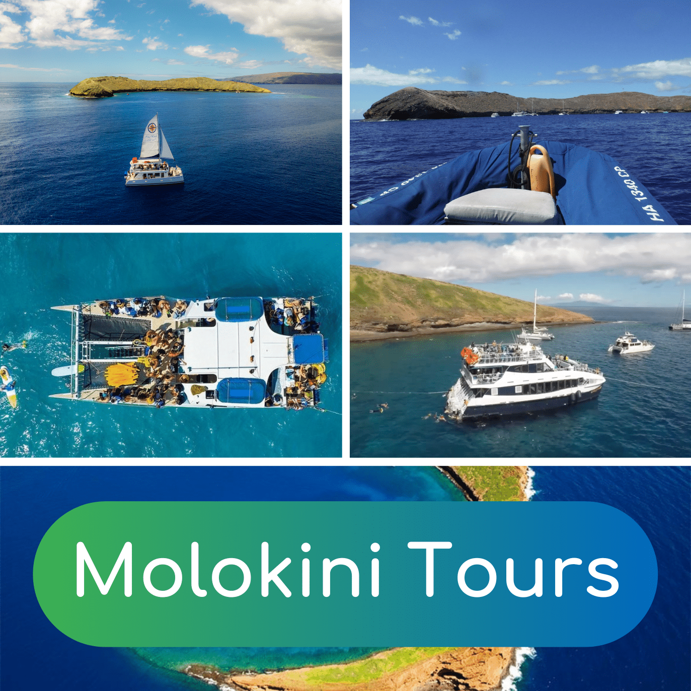Molokini Tours - Book Maui Activities at Auntie Snorkel