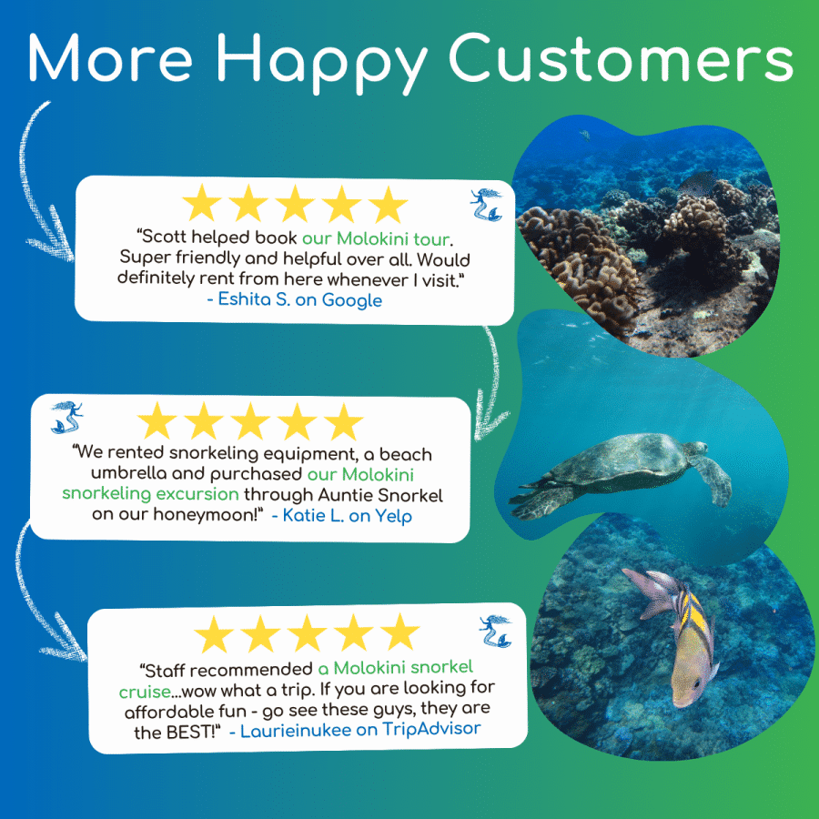 More Happy Customers - Calypso Molokini and Turtle Town Snorkel Tour - Book Maui Activities at Auntie Snorkel