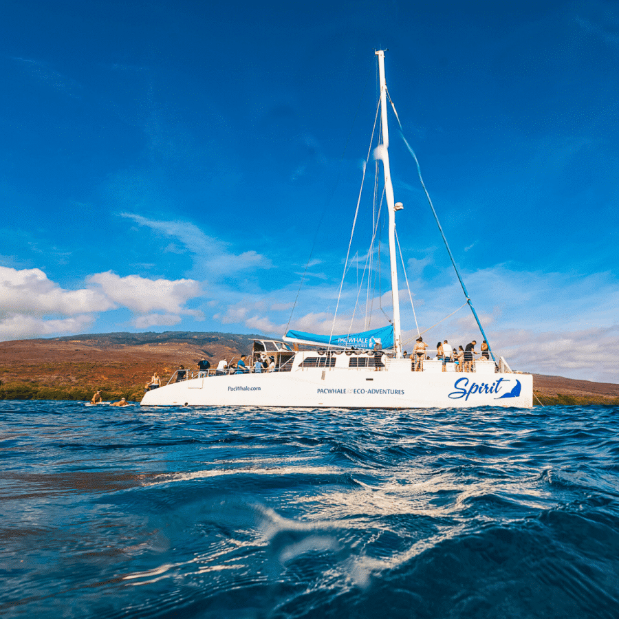 Ocean Spirit Vessel - Pacific Whale Foundation Lanai Snorkeling Tour and Dolphin Watch - Book Maui Activities at Auntie Snorkel