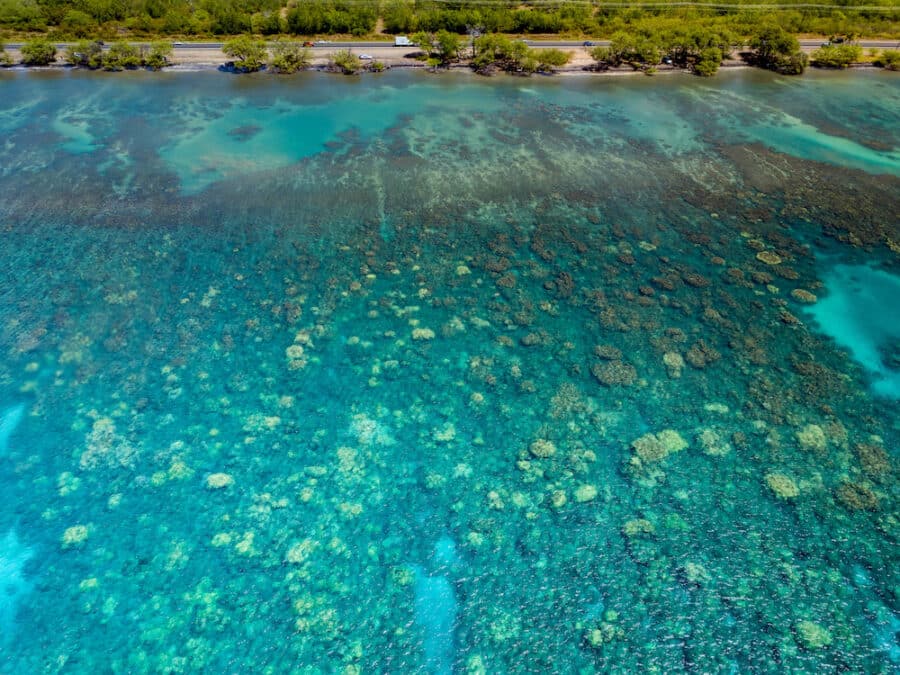 Aerial view of Olowalu reef