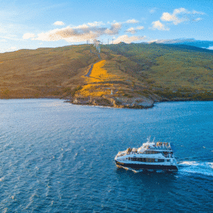 Our Favorite Maui Sunset Dinner Cruise - Calypso Maui Sunset Dinner Cruise - Book Maui Activities at Auntie Snorkel