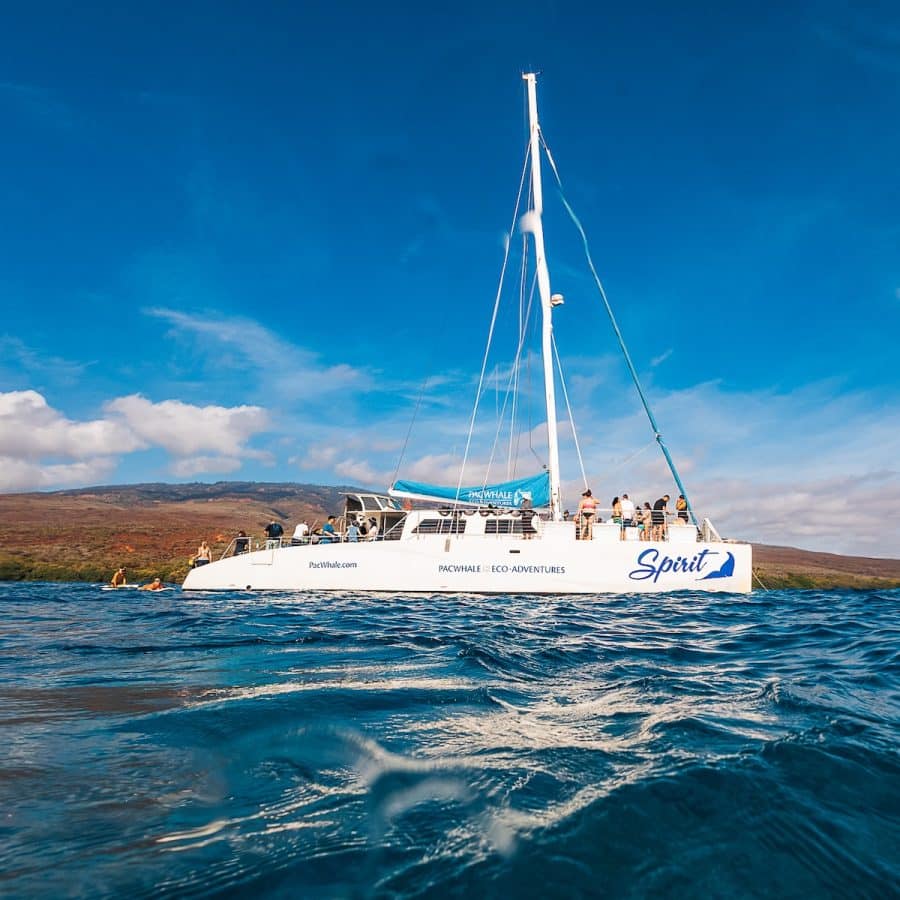 Pacific Whale Foundation Lanai Snorkel Ocean Spirit