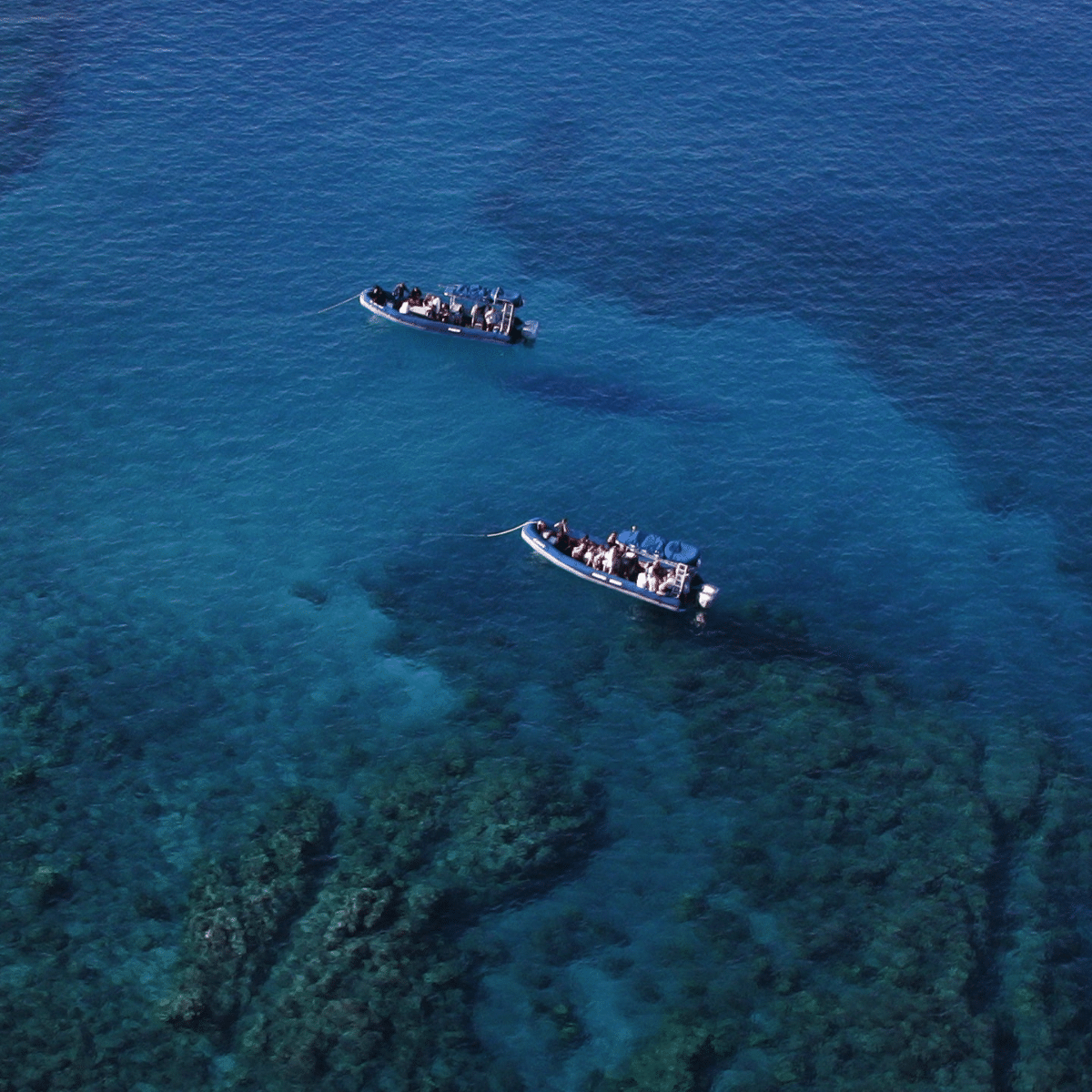 Pristine Maui Reefs - Blue Water Rafting Kanaio Coast - Book Maui Activities at Auntie Snorkel