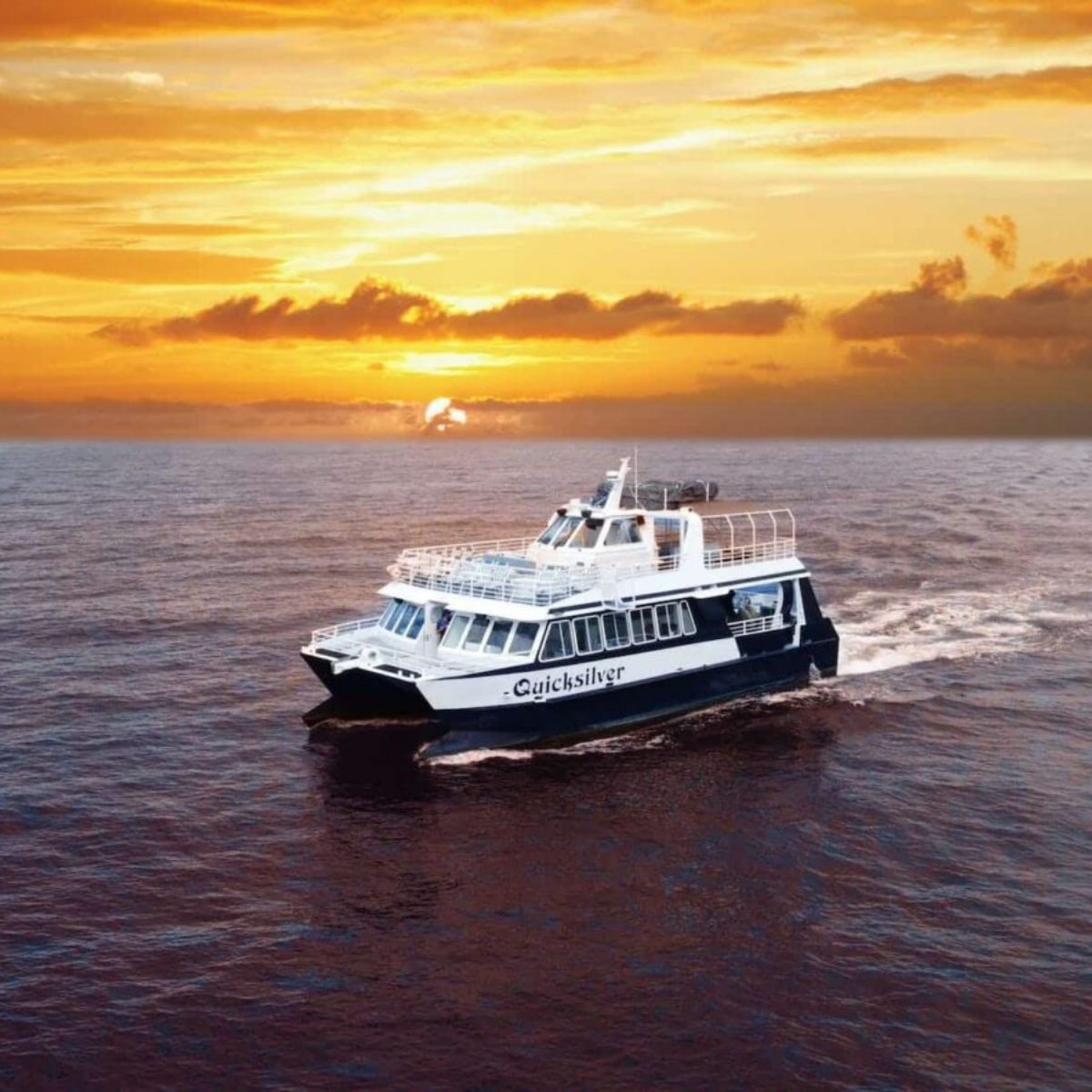 Quicksilver at Sunset - Quicksilver Sunset Dinner Cruise - Book Maui Activities at Auntie Snorkel