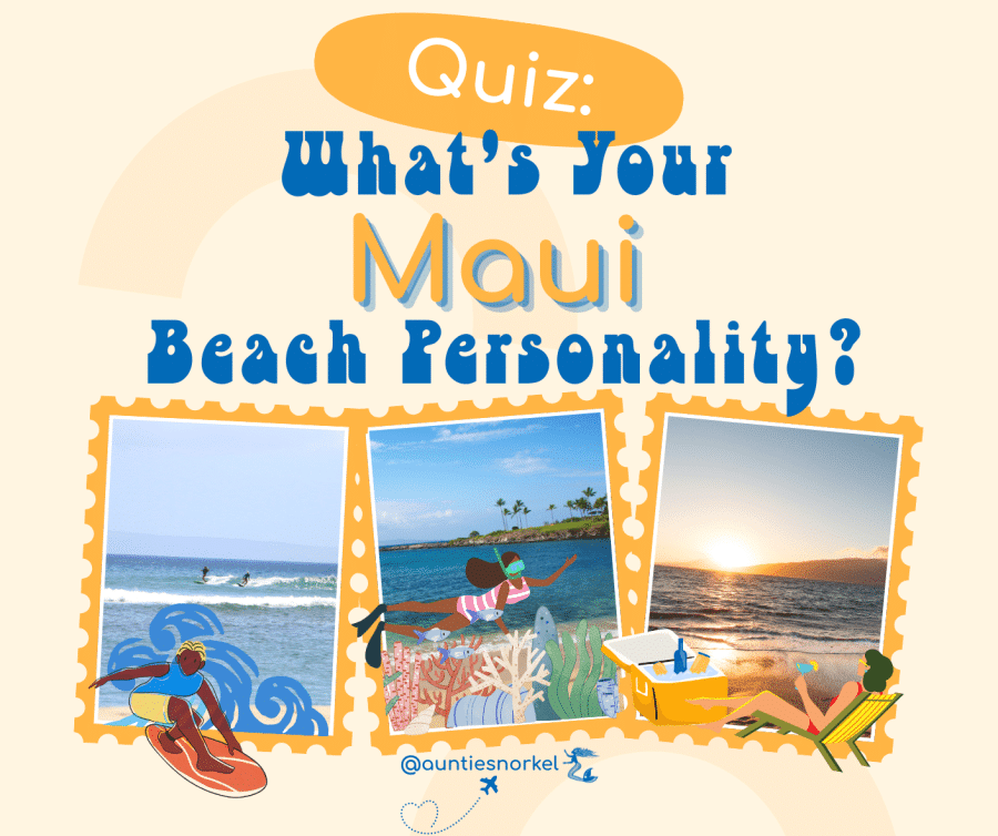 Quiz - Whats Your Maui Beach Personality - Auntie Snorkel