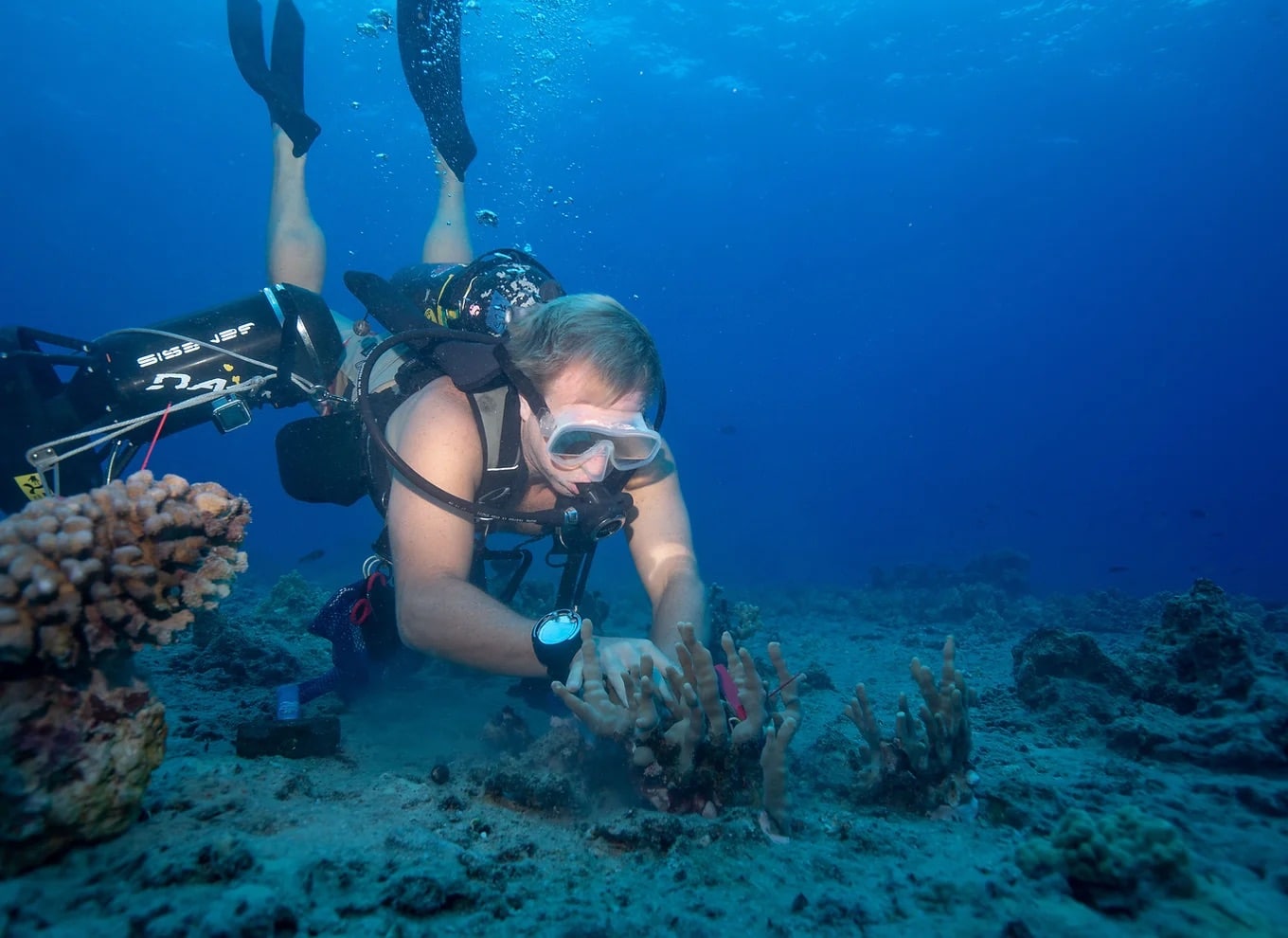 Restoring Coral in Hawaii featuring Kuleana Coral