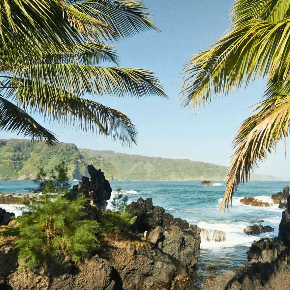 Rugged Tropical Coastline Along the Road to Hana - Aloha Sunshine Deluxe Road to Hana Van Tour - Book Maui Activities at Auntie Snorkel