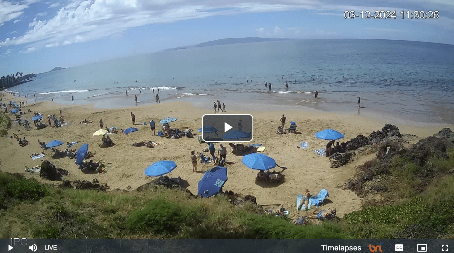 Charley Young Beach live webcam link