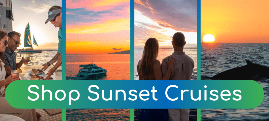 Shop Sunset Cruises - Book Maui Activities at Auntie Snorkel