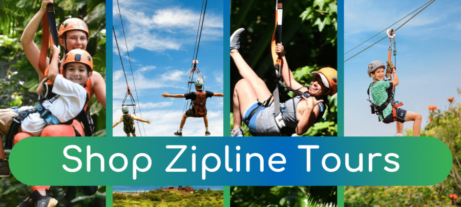 Shop Zipline Tours - Book Maui Activities at Auntie Snorkel