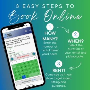 Snorkel Gear Rental at Auntie Snorkel - 3 Easy Steps to Book Online
