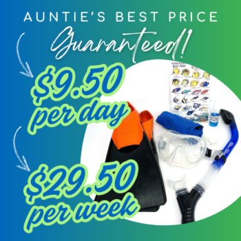 Snorkel Gear Rental at Auntie Snorkel - Aunties Best Price Guaranteed - $9.50 per day