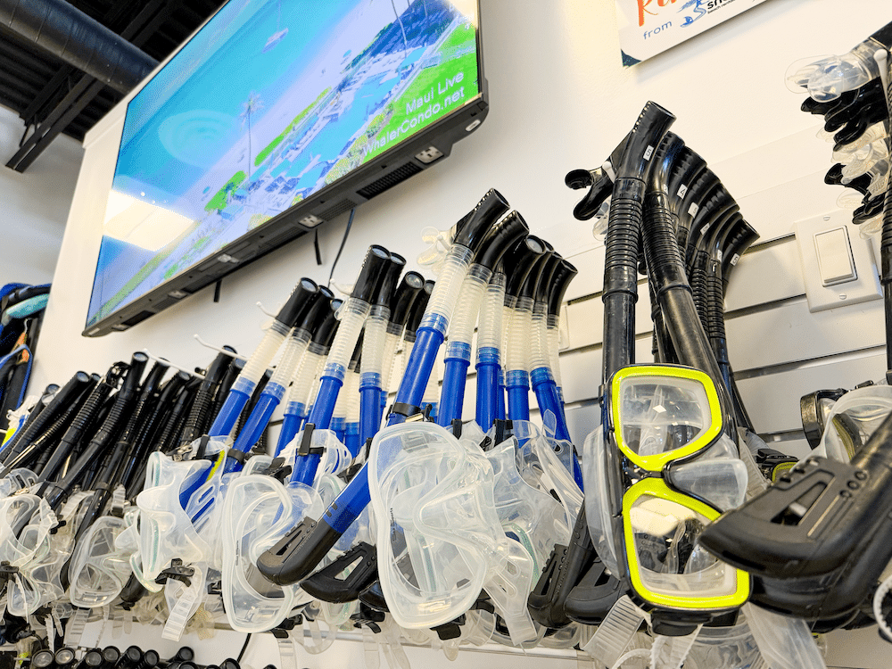 Snorkel Gear for the Whole Family for Rent at Auntie Snorkel