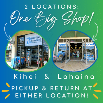 Beach Gear Rentals at Auntie Snorkel - Kihei and Lahaina Maui - Pickup and return at both locations