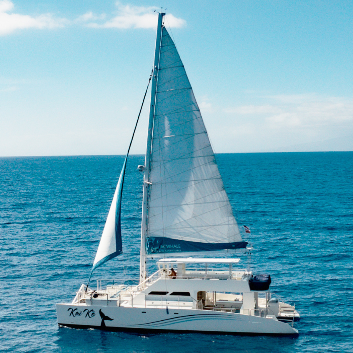 Snorkel and Sunset Sail Aboard the Kai Ko - Pacific Whale Foundation Maui Snorkel and Sunset Sail - Maalaea - Book Maui Activities at Auntie Snorkel