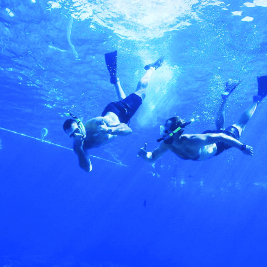 Snorkelers-Diving-Down-Malolo-Molokini-or-Coral-Gardens-Afternoon-Snorkel-Tour-Book-Maui-Activities-with-Auntie-Snorkel