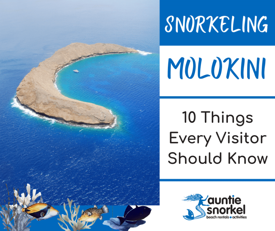 Snorkeling Molokini - 10 Things Every Visitor Should Know