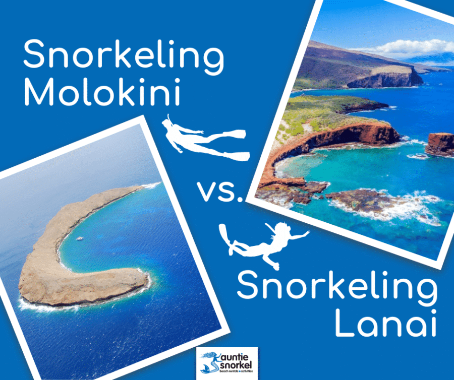 Snorkeling Molokini vs Snorkeling Lanai