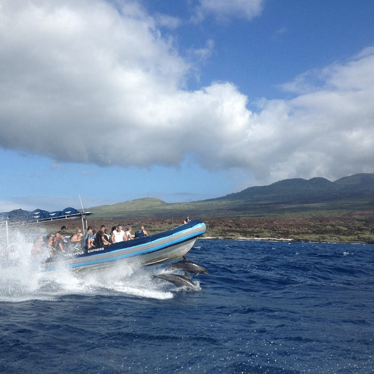 Spinner Dolphin Sightings Common - Blue Water Rafting Kanaio Coast - Book Maui Activities at Auntie Snorkel